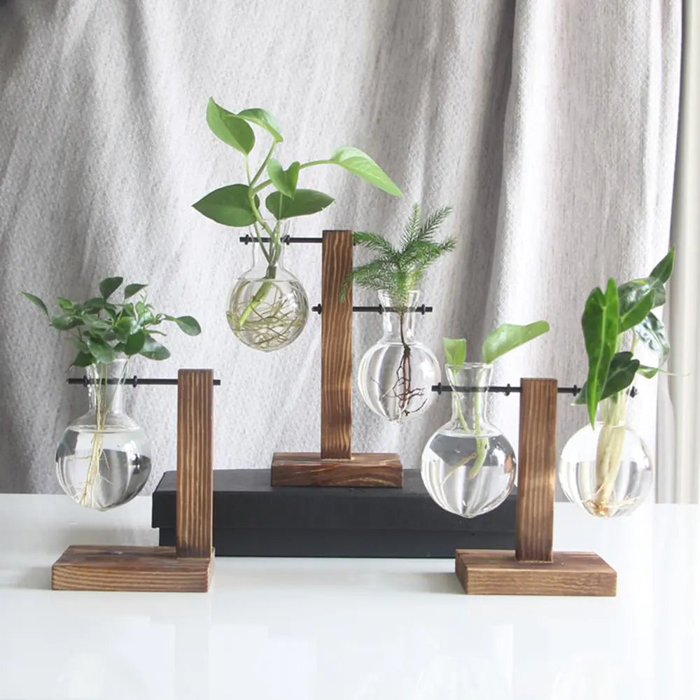 Glass and Wood Vase Planter Table Desktop