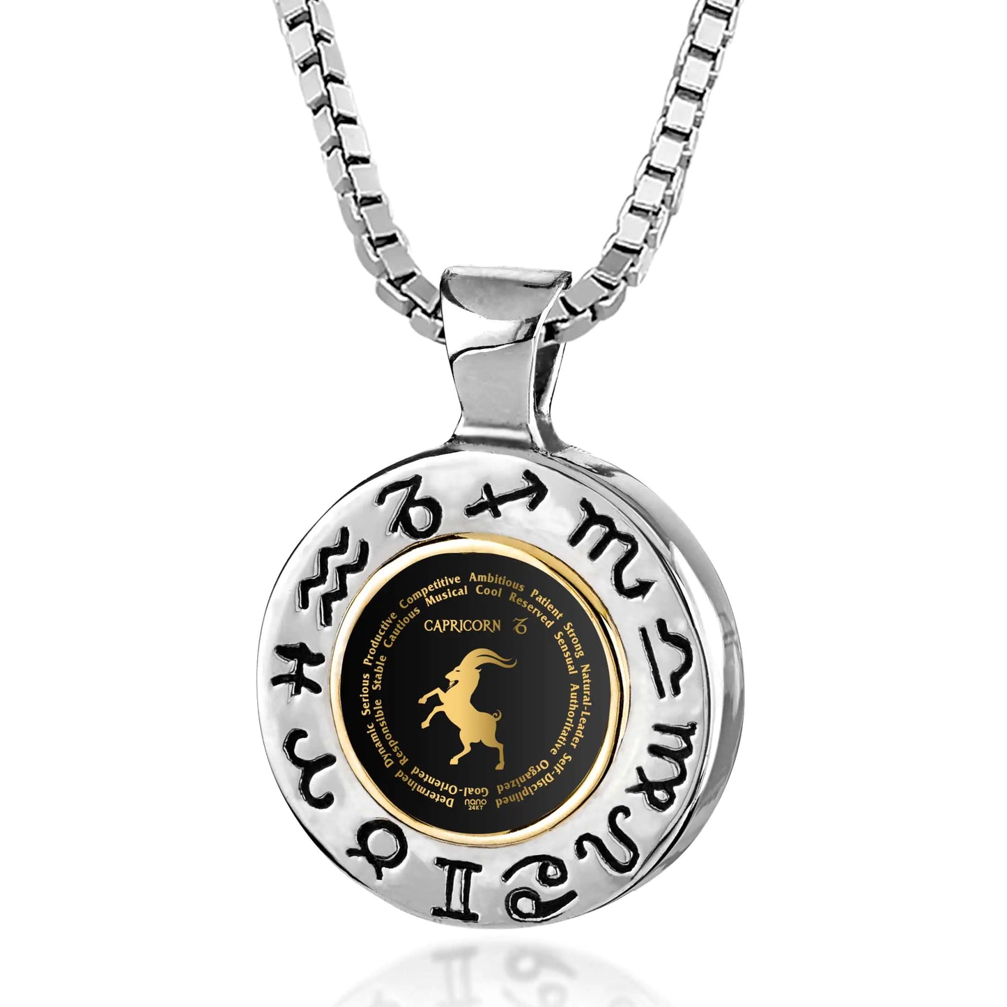 Capricorn Zodiac Sign Necklace Gift