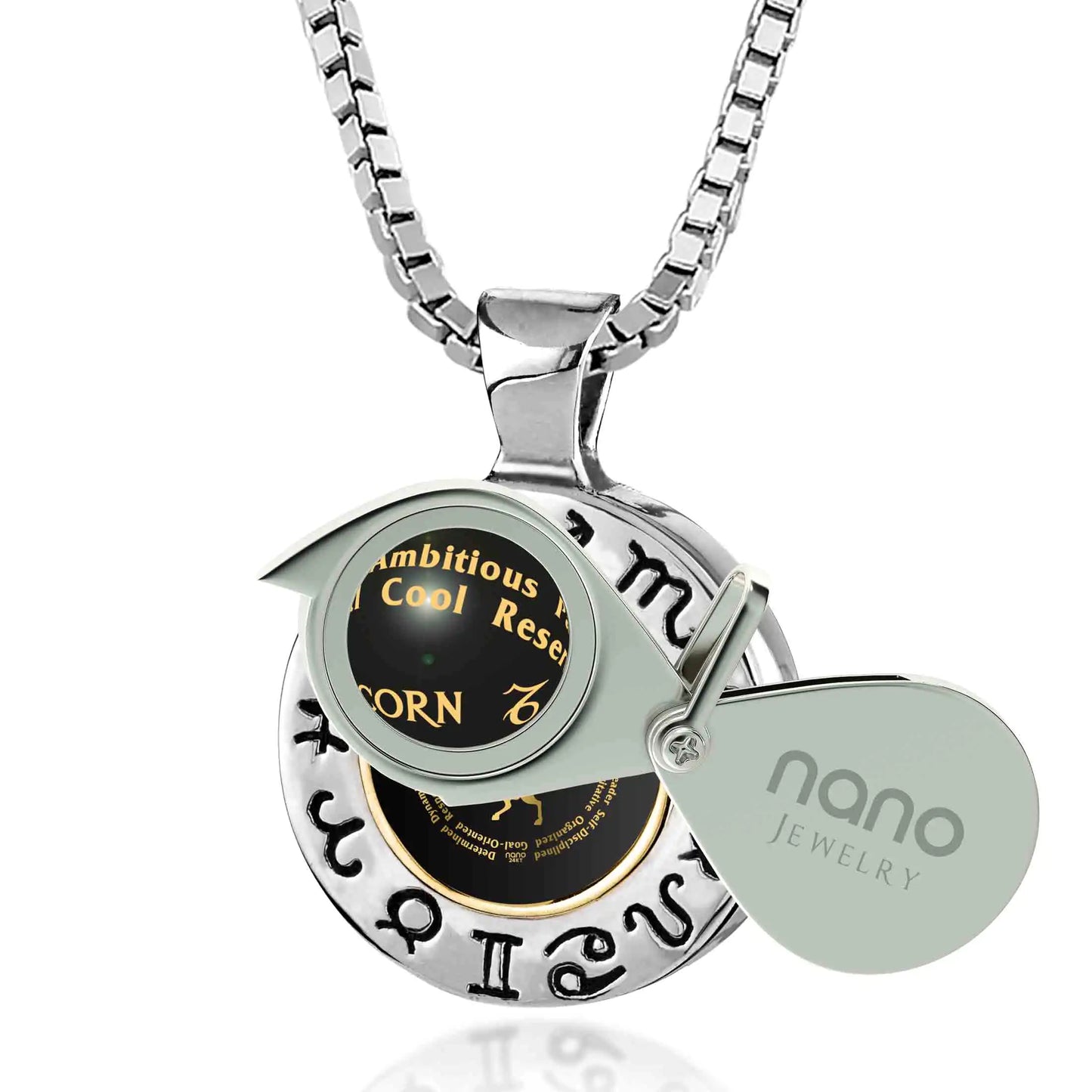 Capricorn Zodiac Sign Necklace Gift