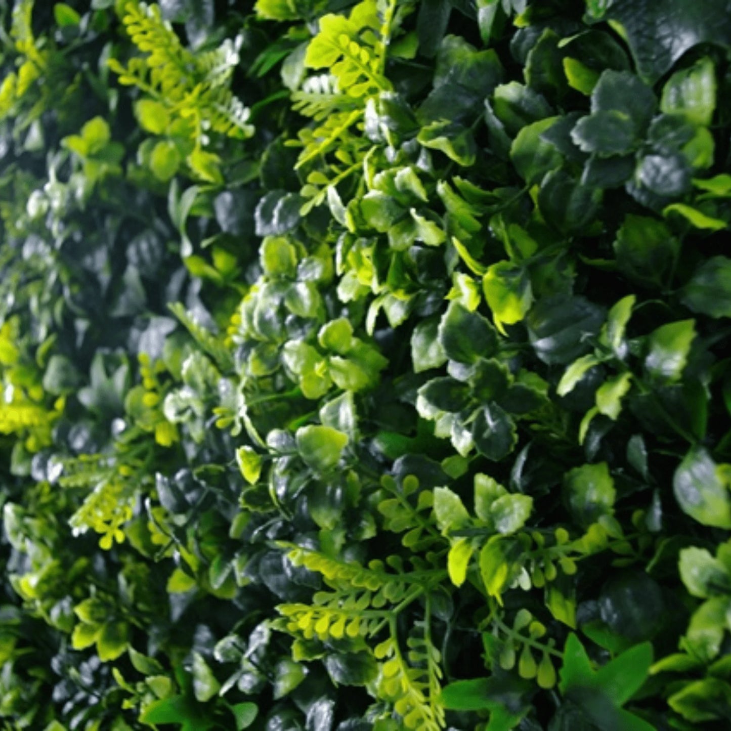 Sample Panel of Spring Sensation Artificial Green Wall (Small Sample) UV Resistant