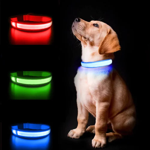 Luminous AirTag Collar