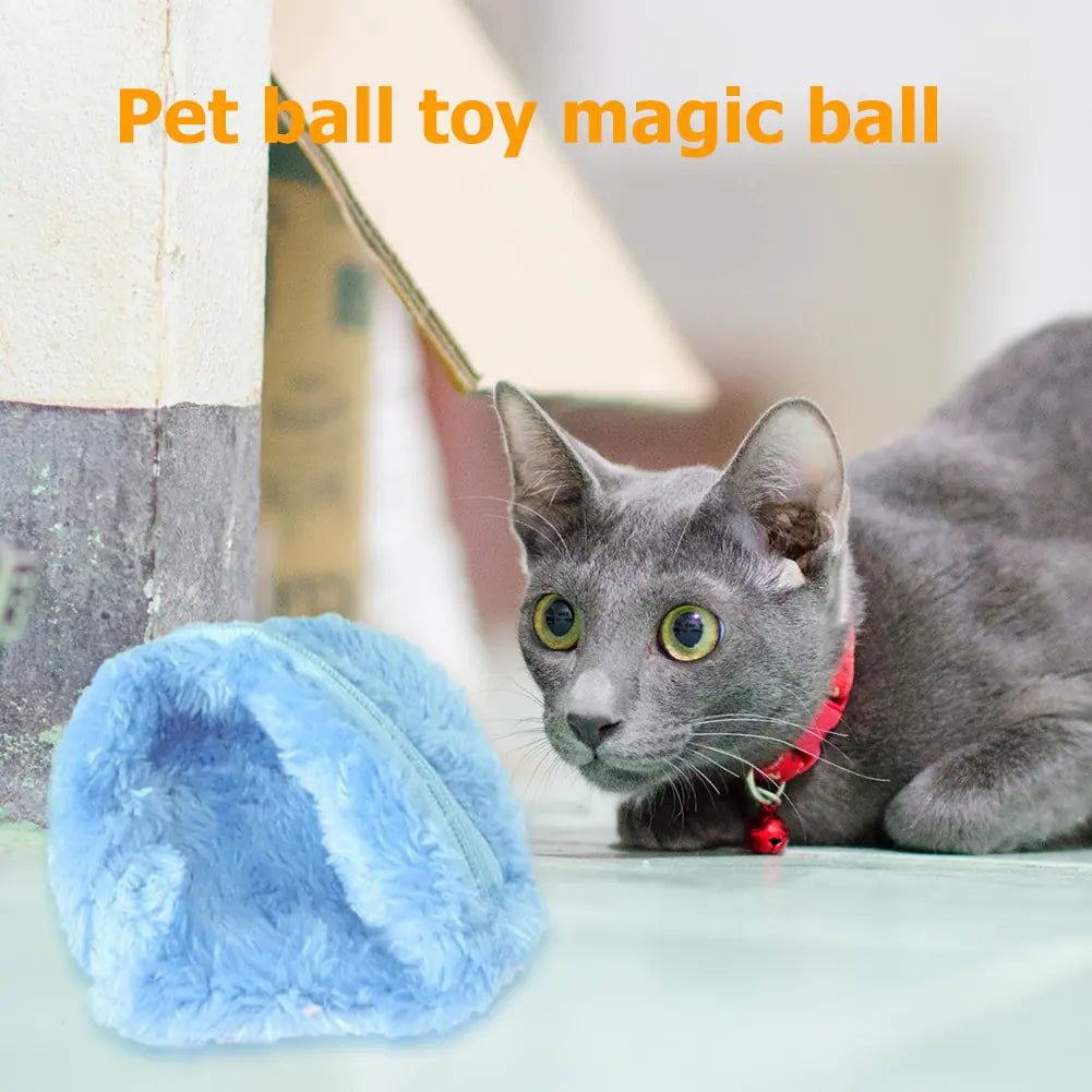 Magic Roller Automatic Activation Pet Ball