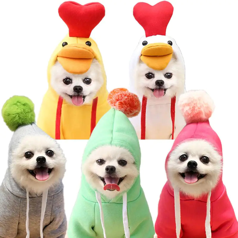 Puppy Tailored Fruitwear